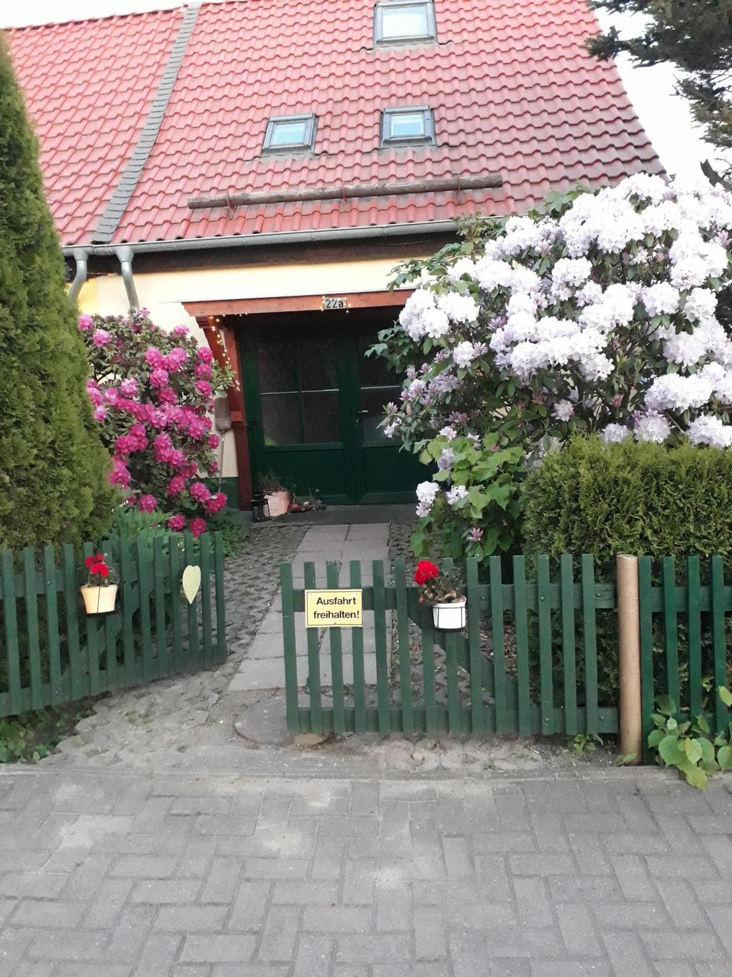 Harzglueck Villa Thale Kültér fotó